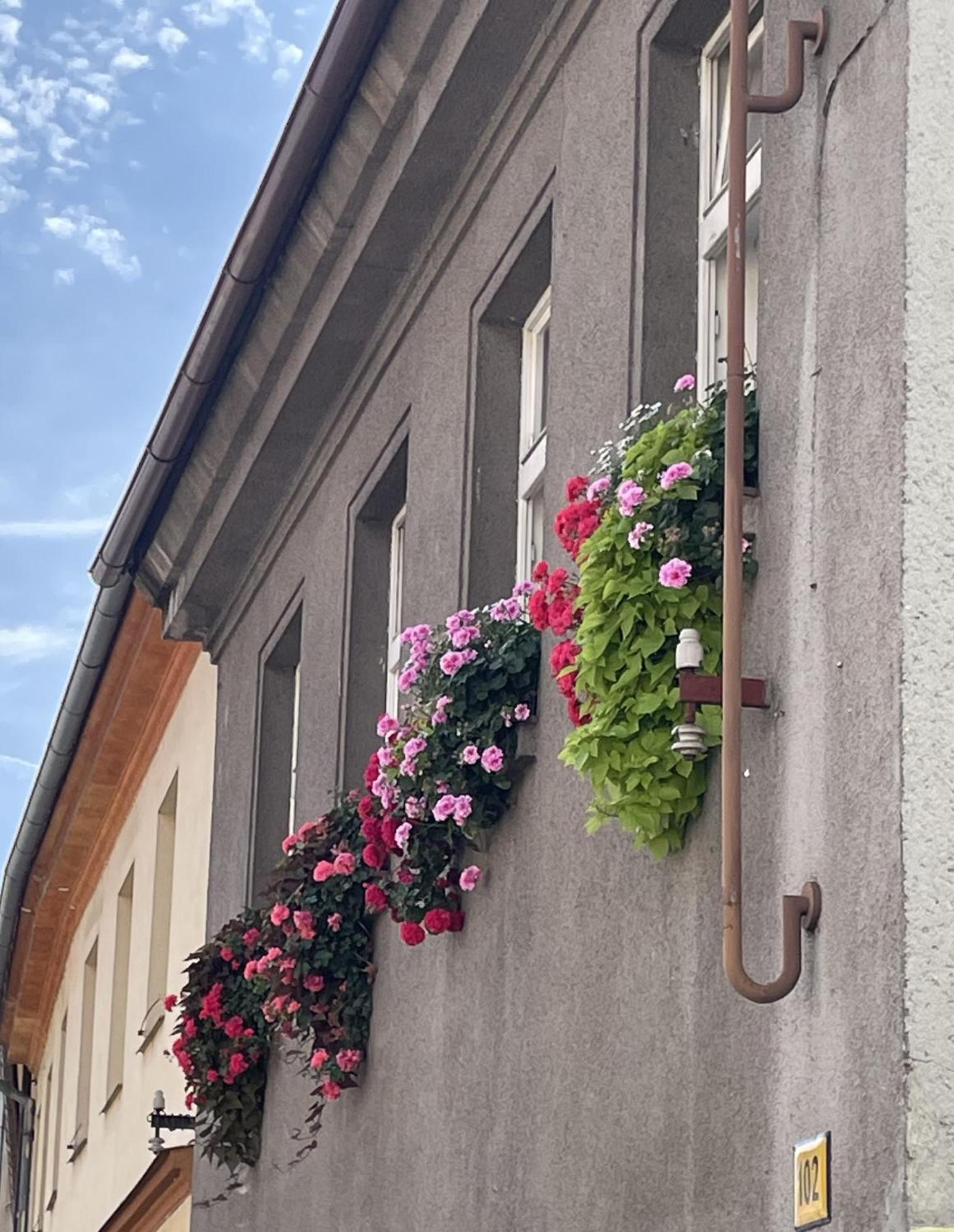 Family Apartment Pisek City Centre Ii. Экстерьер фото